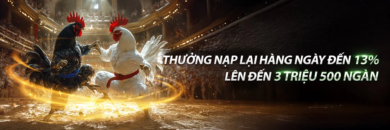 Dịch vụ VIP độc quyền 77 ball app