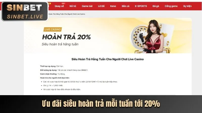 Ưu đãi VIP độc quyền 77 ball app