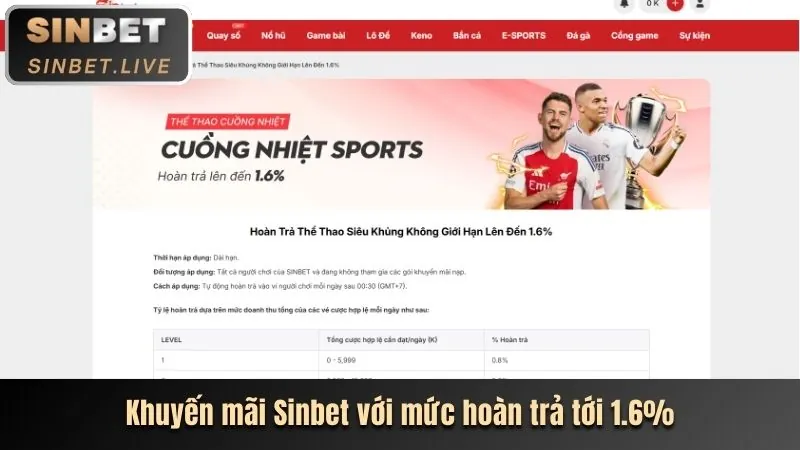 Cá cược quần vợt 77 Ball App